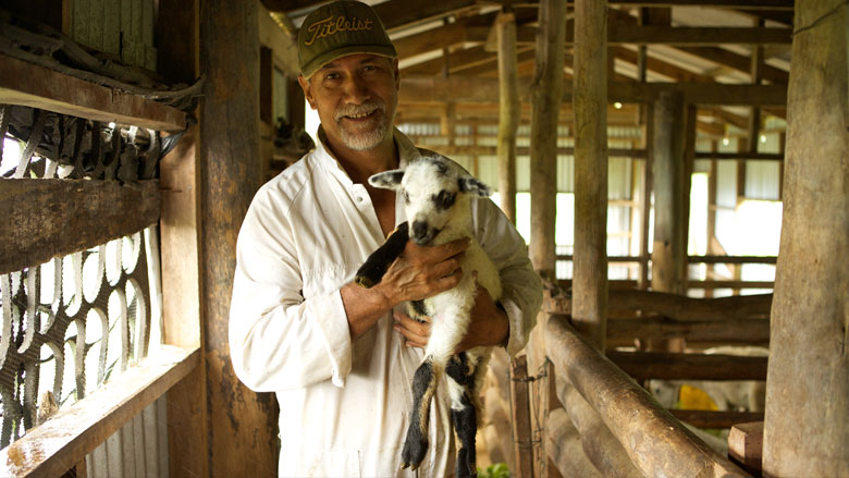 Samoan Farmers: Growing Their Business